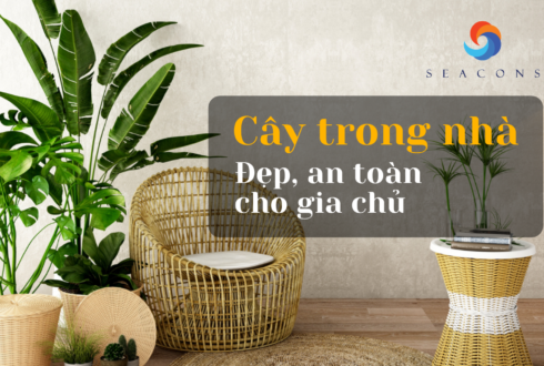 Top 30+ Mẫu cây trồng trong nhà đẹp cho gia chủ