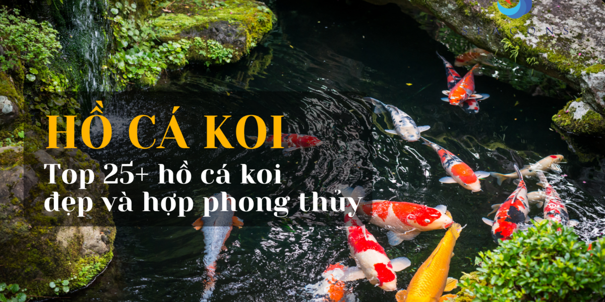 Hồ cá koi có gì đặc biệt? Top 25+ hồ cá koi đẹp và hợp phong thủy nhất 2021