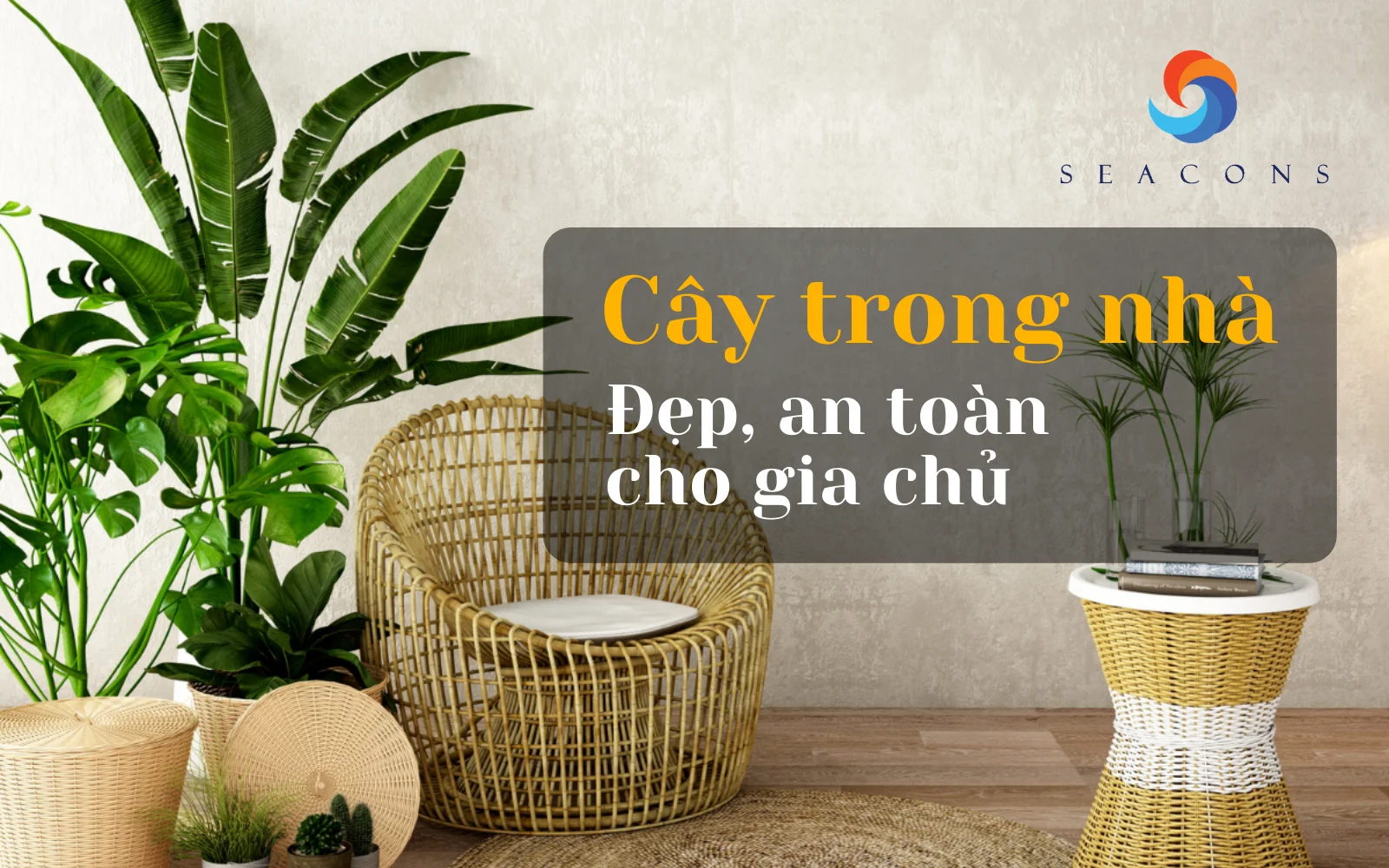 Top 30+ Mẫu cây trồng trong nhà đẹp cho gia chủ