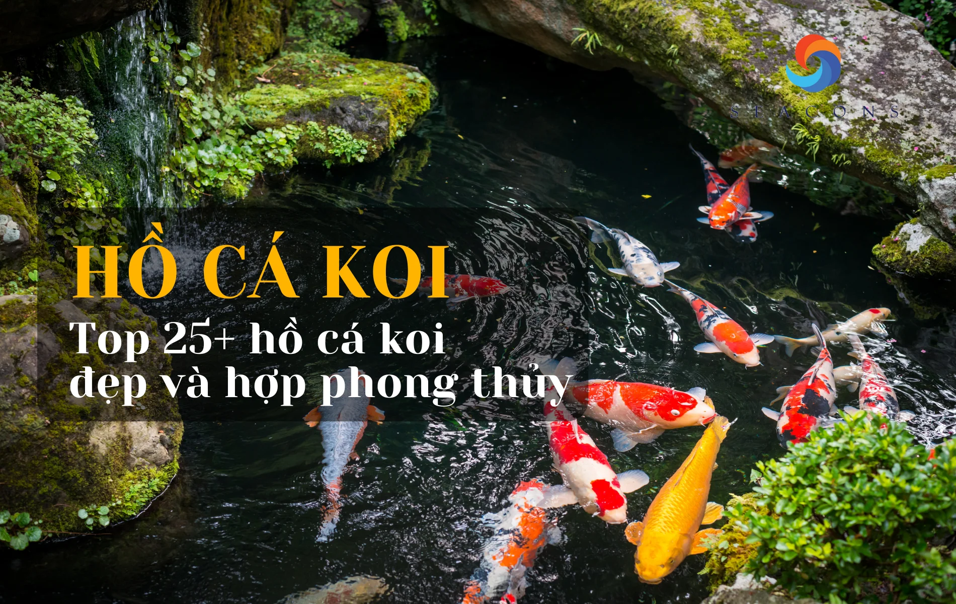 Hồ cá koi có gì đặc biệt? Top 25+ hồ cá koi đẹp và hợp phong thủy nhất 2025