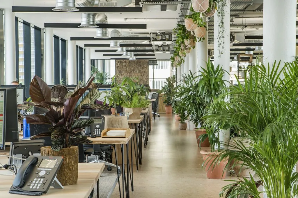 green-office-37